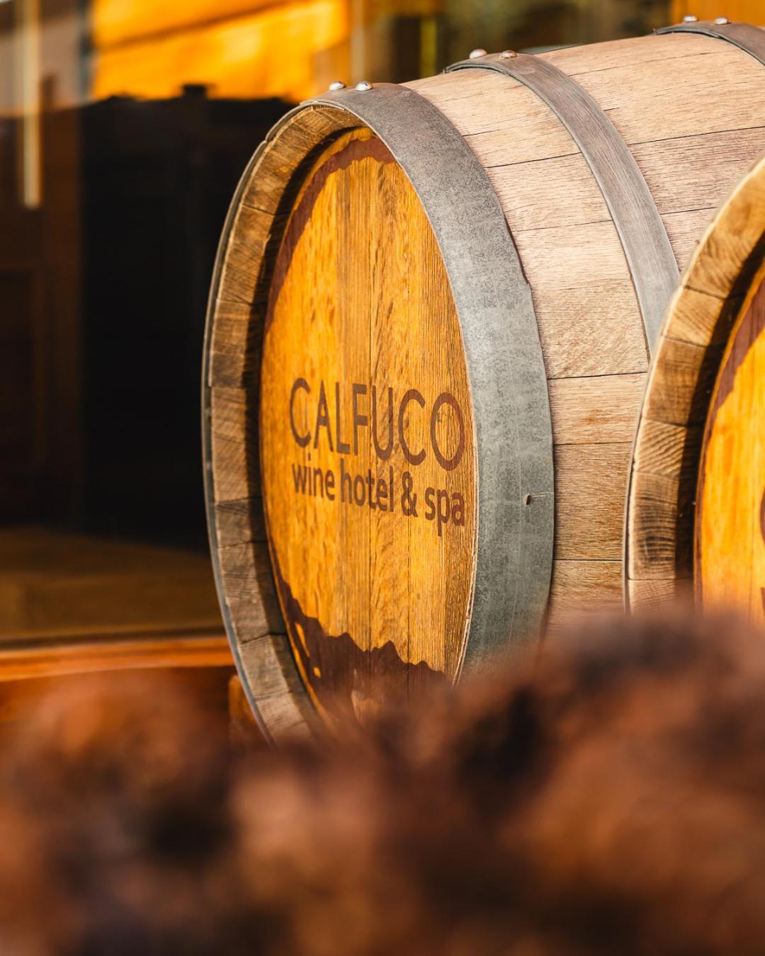 Calfuco Wine Hotel & Spa Puerto Manzano Exteriér fotografie